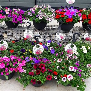 Afbeelding van HP30 XXL Diverse mix